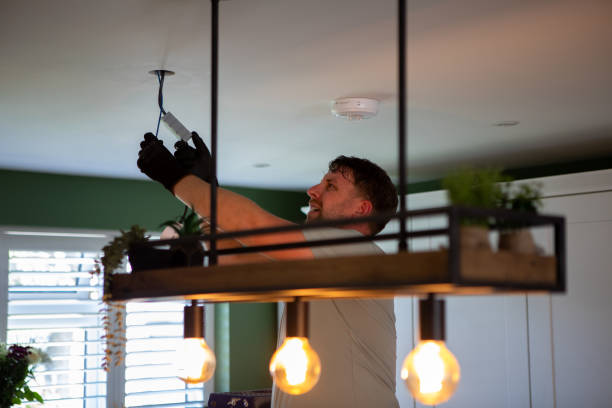 Best Electric Panel Repair  in Palos Hls, IL